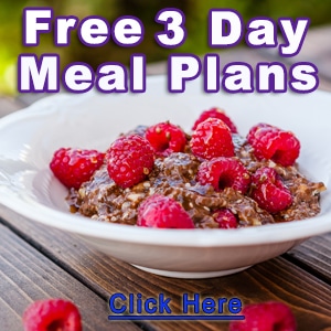 Free-3-Day-Meal-Plans - Young and Raw